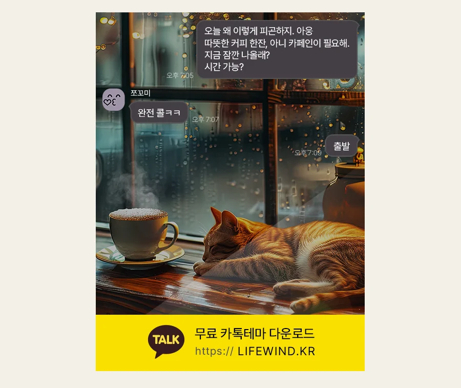 A Cat Napping By The Cafe Window 카카오톡 테마 카톡테마 무료 다운로드