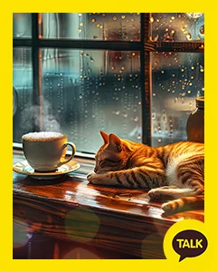 A Cat Napping By The Cafe Window 카카오톡 테마 카톡테마 무료 다운로드